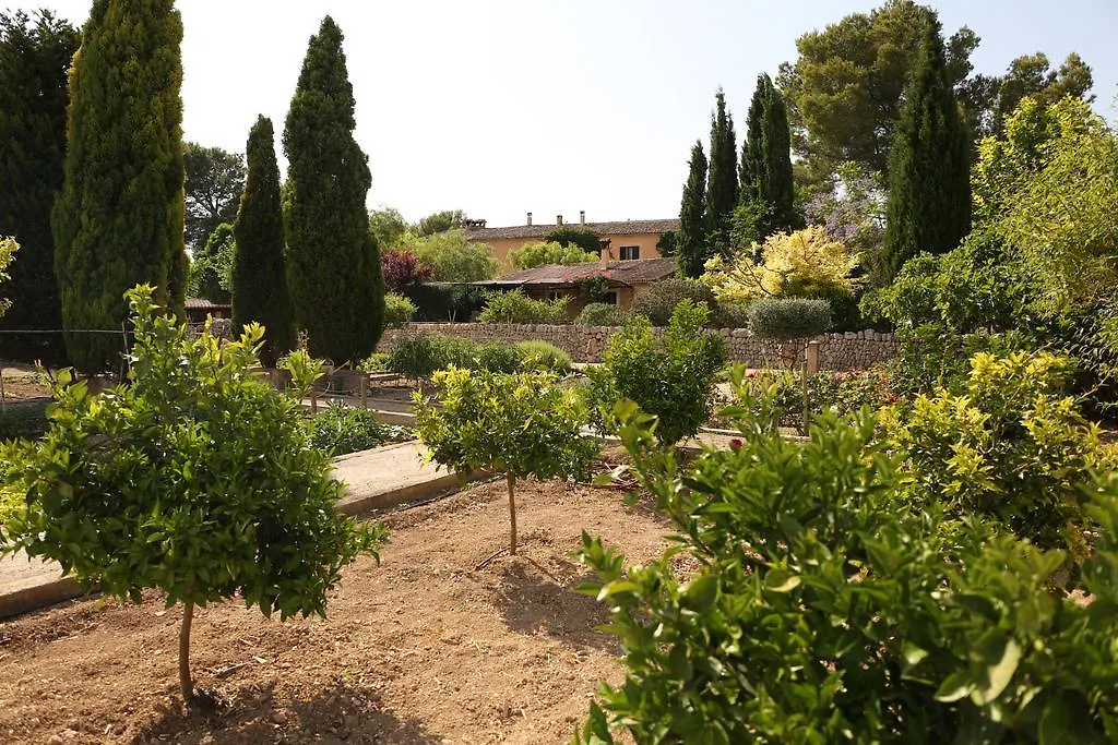Country house Oliver Moragues Grandhouse & Vineyard Spain
