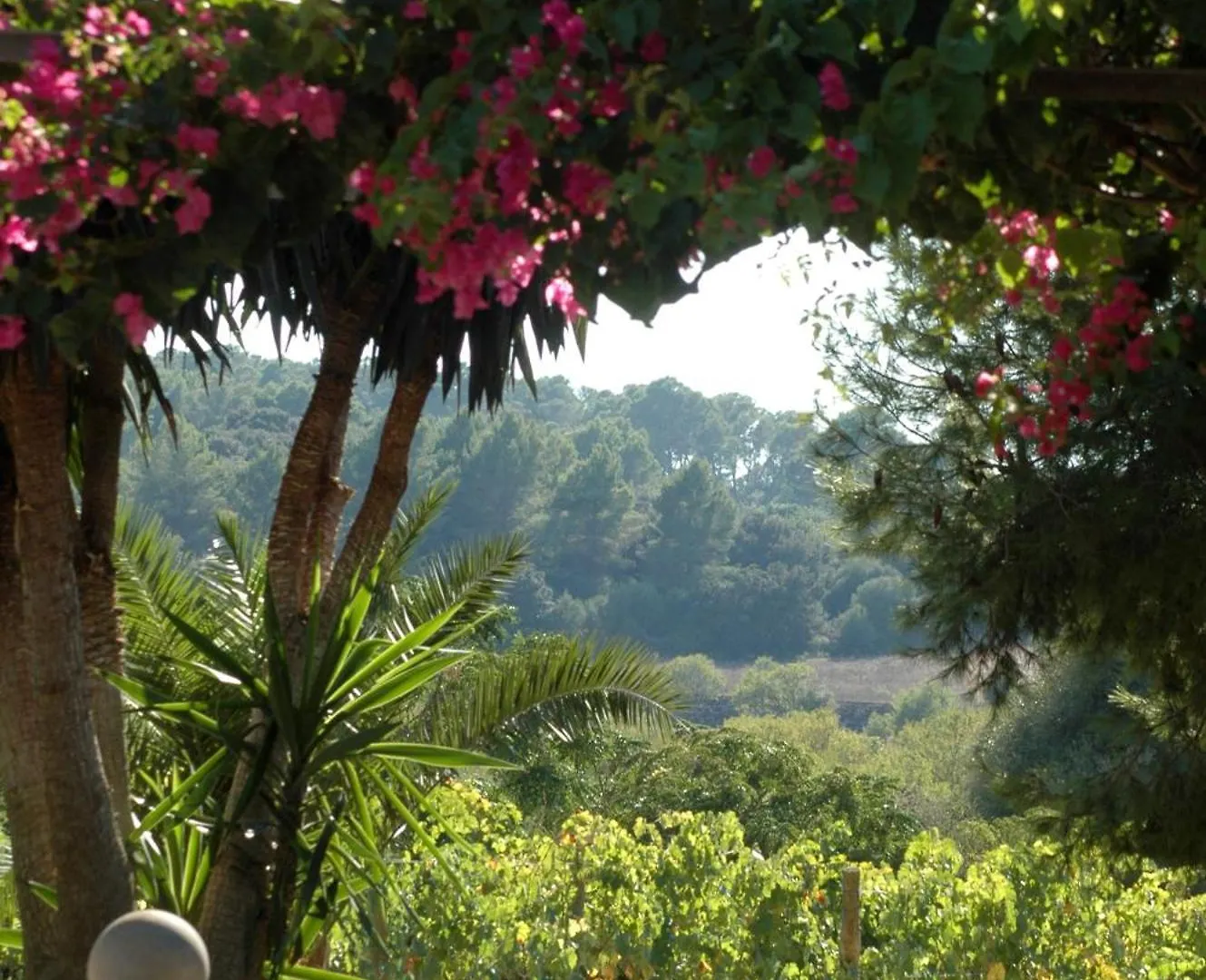 Country house Oliver Moragues Grandhouse & Vineyard