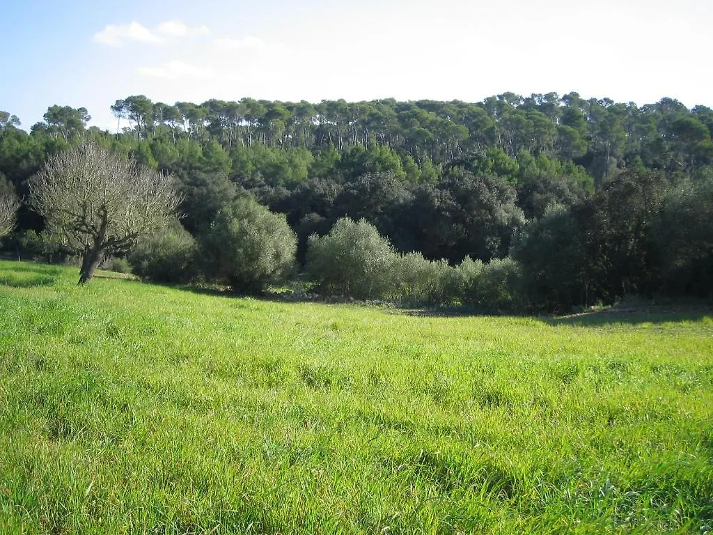 Oliver Moragues Grandhouse & Vineyard Country house