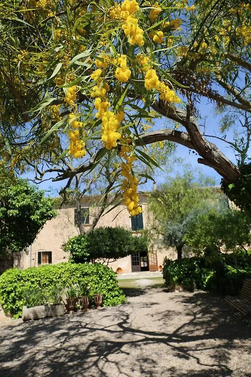 Oliver Moragues Grandhouse & Vineyard 알가이다