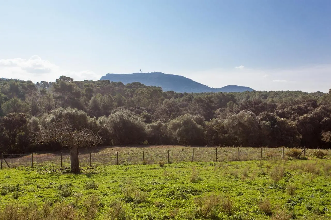 Oliver Moragues Grandhouse & Vineyard Algaida  Landhuis Algaida (Mallorca)