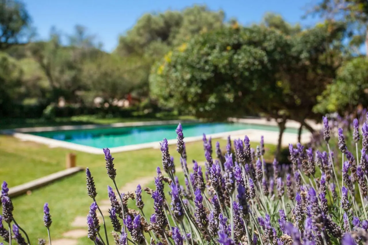 Landhuis Oliver Moragues Grandhouse & Vineyard Algaida